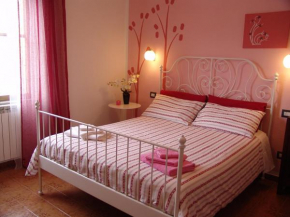 Отель B&B Myosotis  Пиза